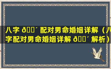 八字 🌴 配对男命婚姻详解（八字配对男命婚姻详解 🐴 解析）